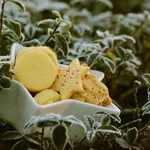 Taranis Biscotti Frollini Cioccolato