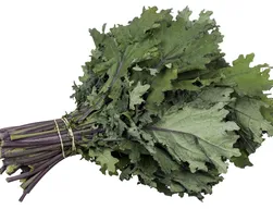 VitaTrePlus