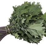 VitaTrePlus